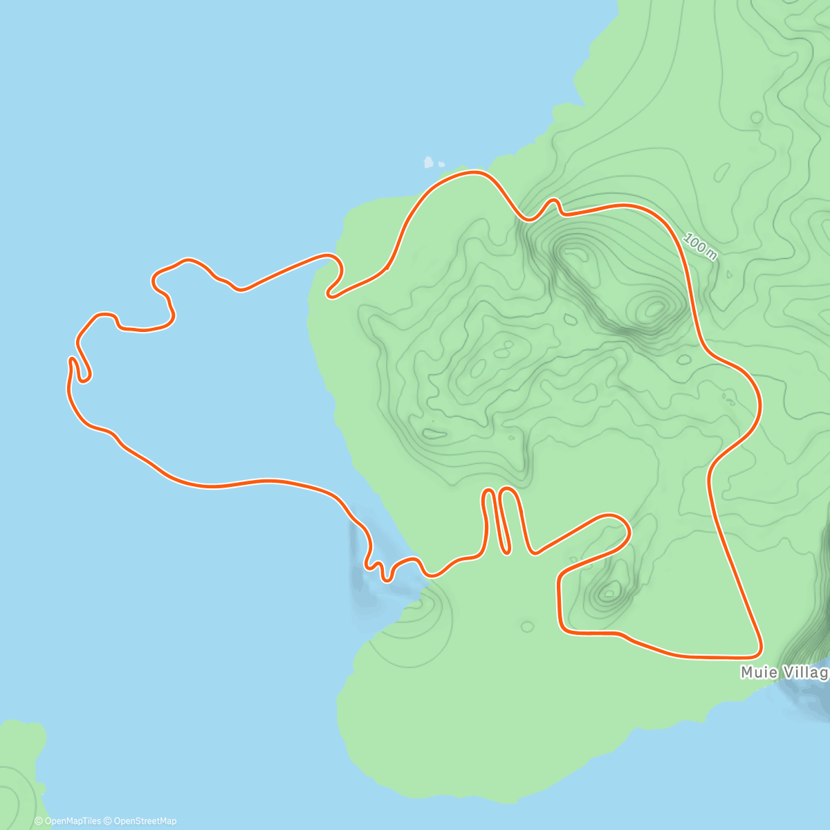 Map of the activity, Zwift - Volcano Flat in Watopia