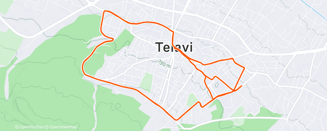 Карта физической активности (Morning Run)