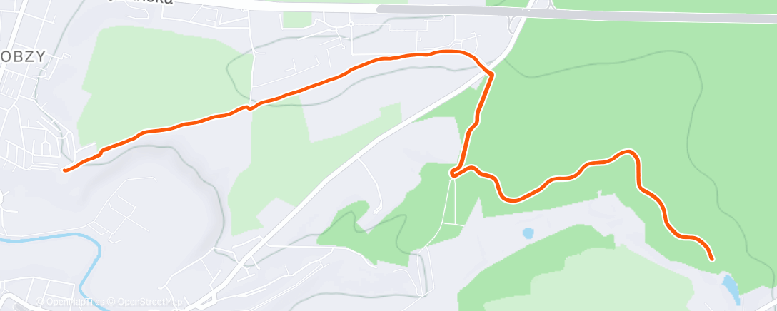 Карта физической активности (Morning Nordic Ski)