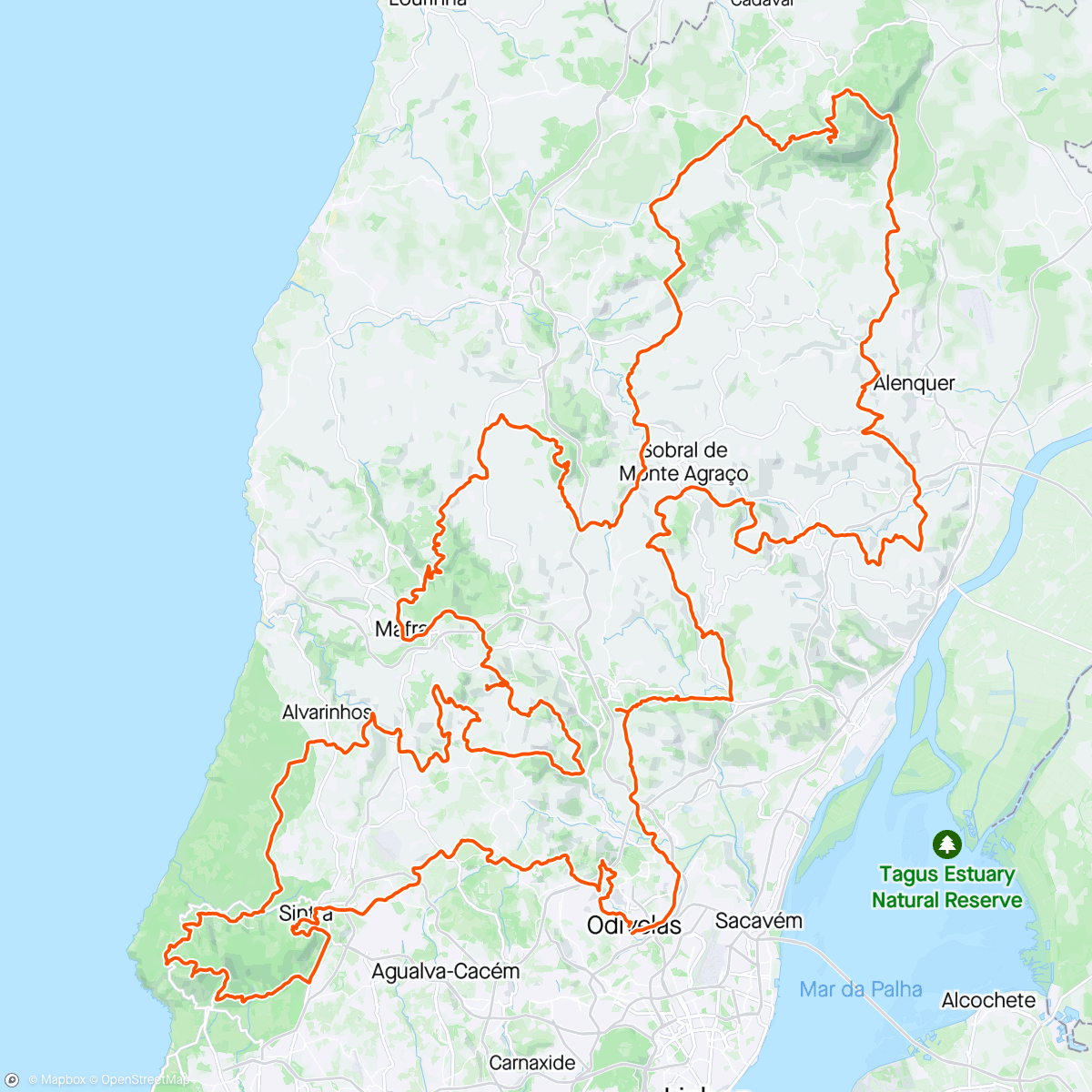 Map of the activity, Lisboa 312