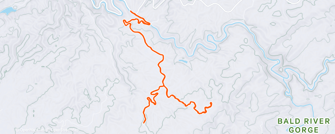 Карта физической активности (Wildcat Millers)