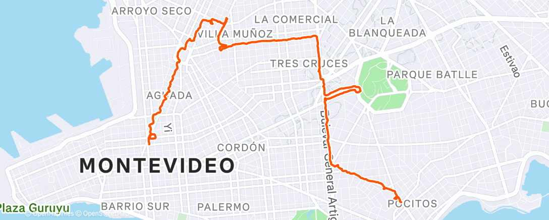 Карта физической активности (Pocitos - Centro)