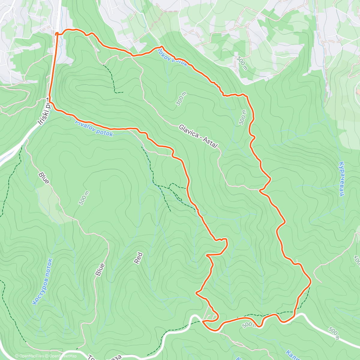Map of the activity, Morning Trail Run