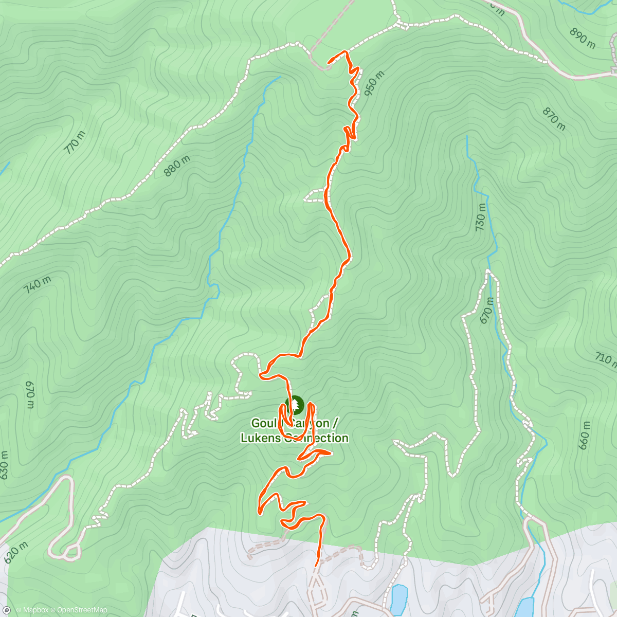 Map of the activity, Morning Trail Run
