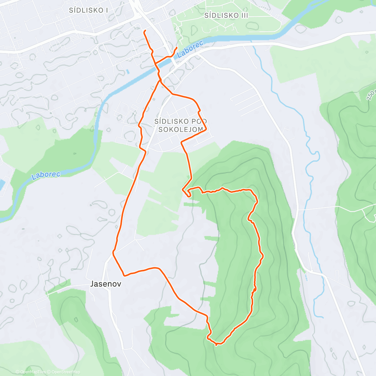 Map of the activity, Morning Trail Run