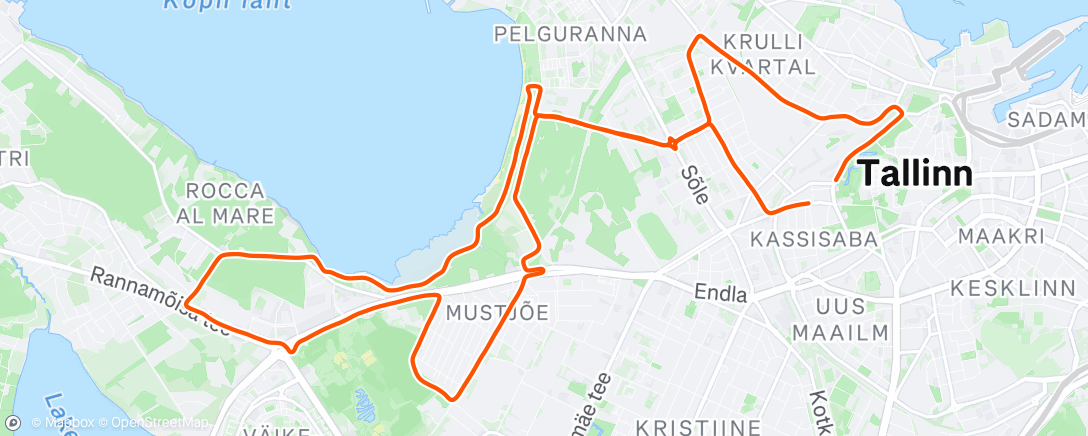 Map of the activity, Morning Run