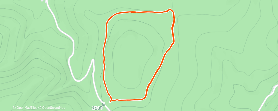 Карта физической активности (Lunch Run)