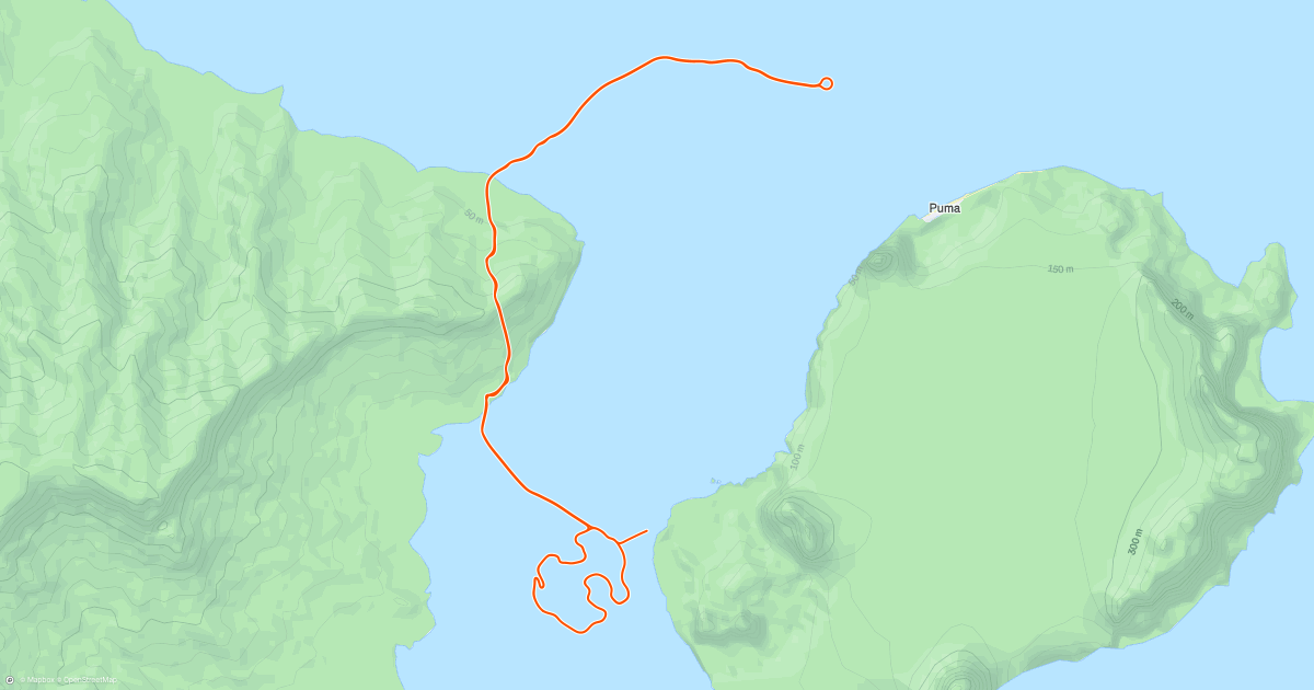 www.strava.com