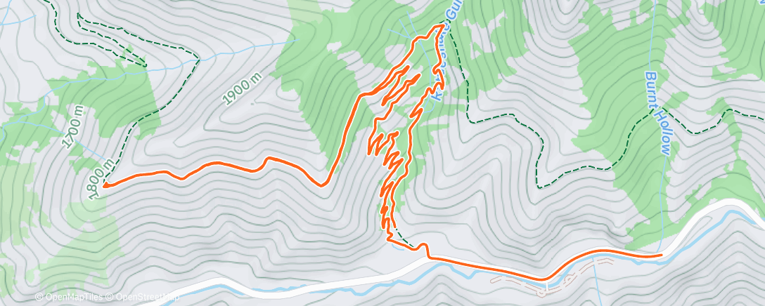 Карта физической активности (Afternoon Trail Run)