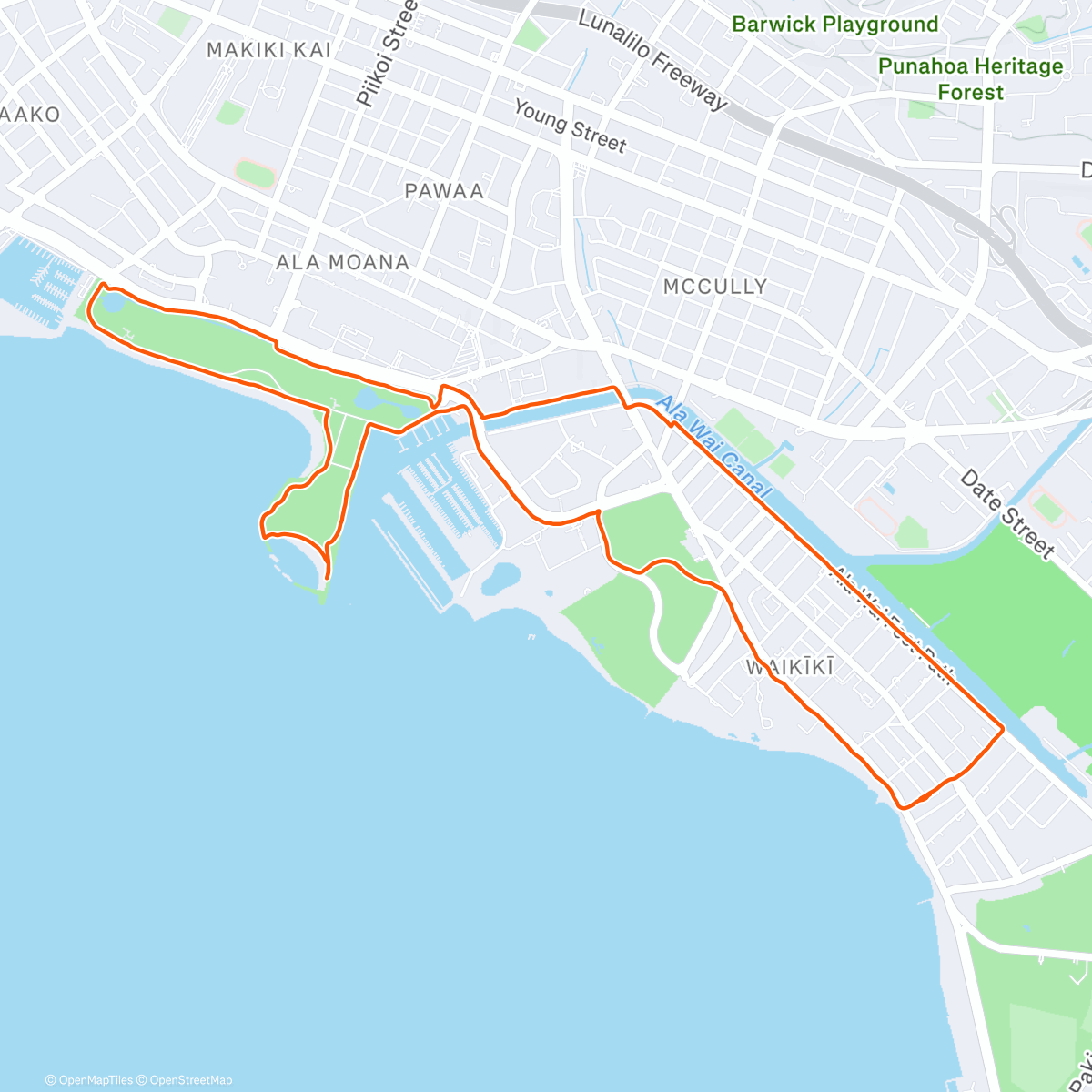 Карта физической активности (HNL)