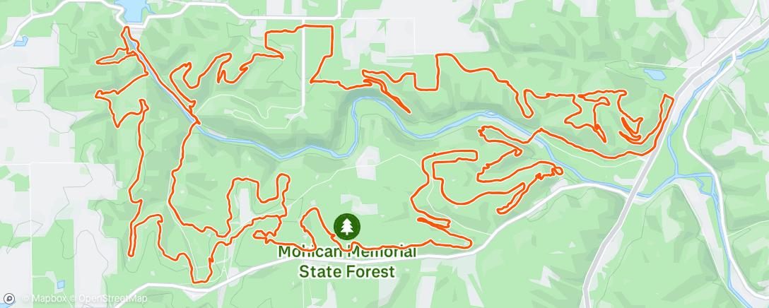Map of the activity, Morning Run