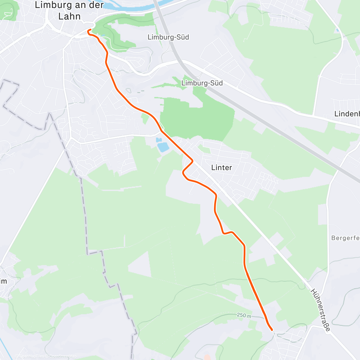 Карта физической активности (DnD'25 #89)