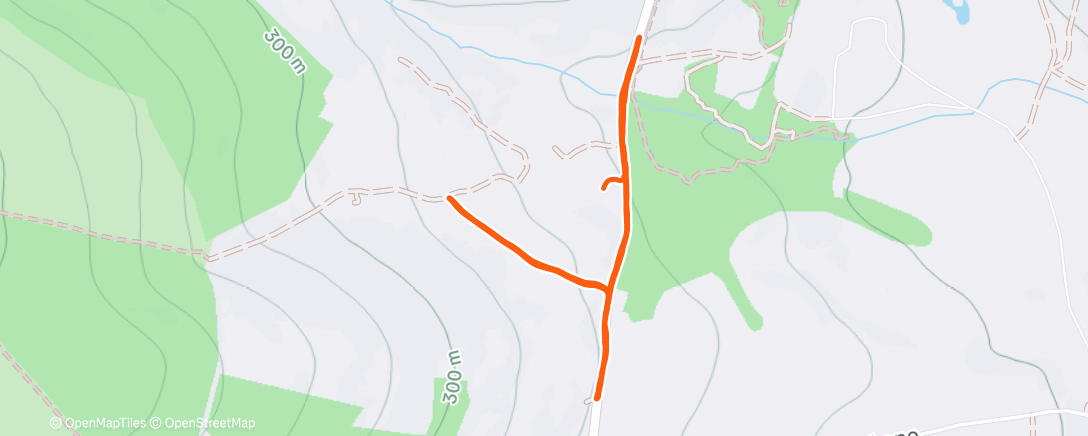 Карта физической активности (Afternoon Run)