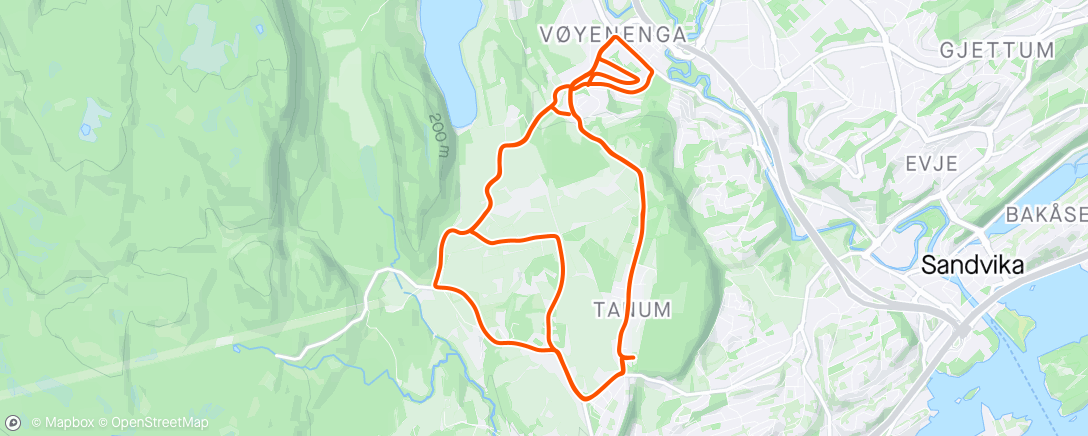 Map of the activity, 4 X Tanumbakken på fulldemper mens Elise trener