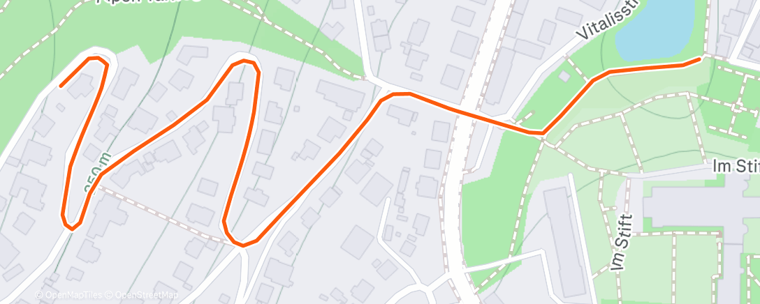 Карта физической активности (Fahrt am Nachmittag)