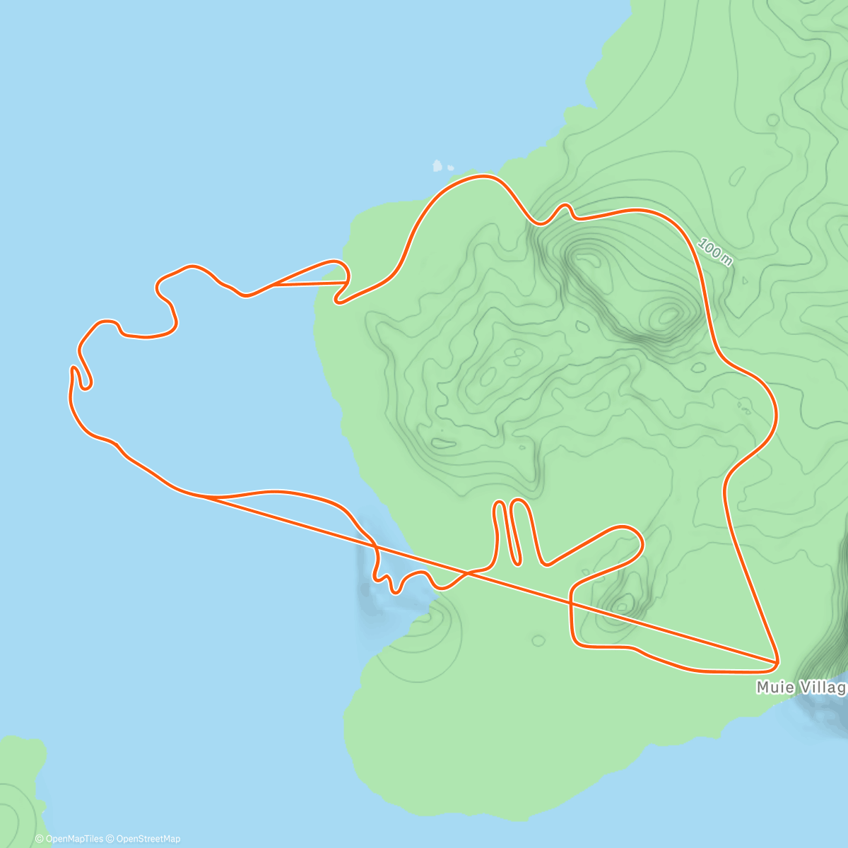 Карта физической активности (Zwift - Volcano Flat in Watopia)