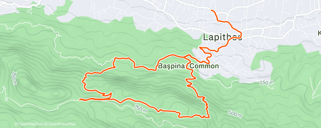 Map of the activity, Morning Trail Run