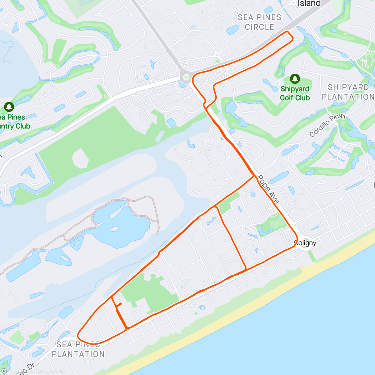 Mapa da atividade, 80 min run