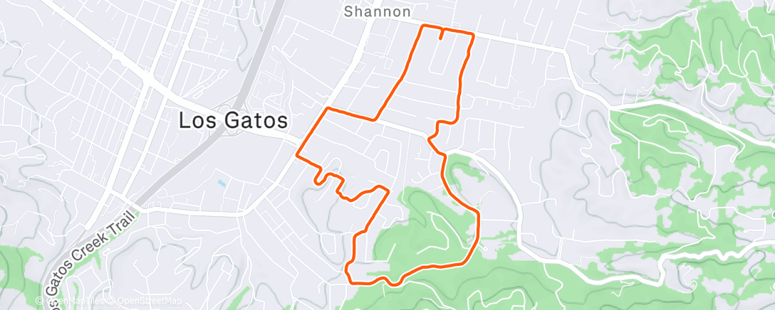 Map of the activity, Morning Run
