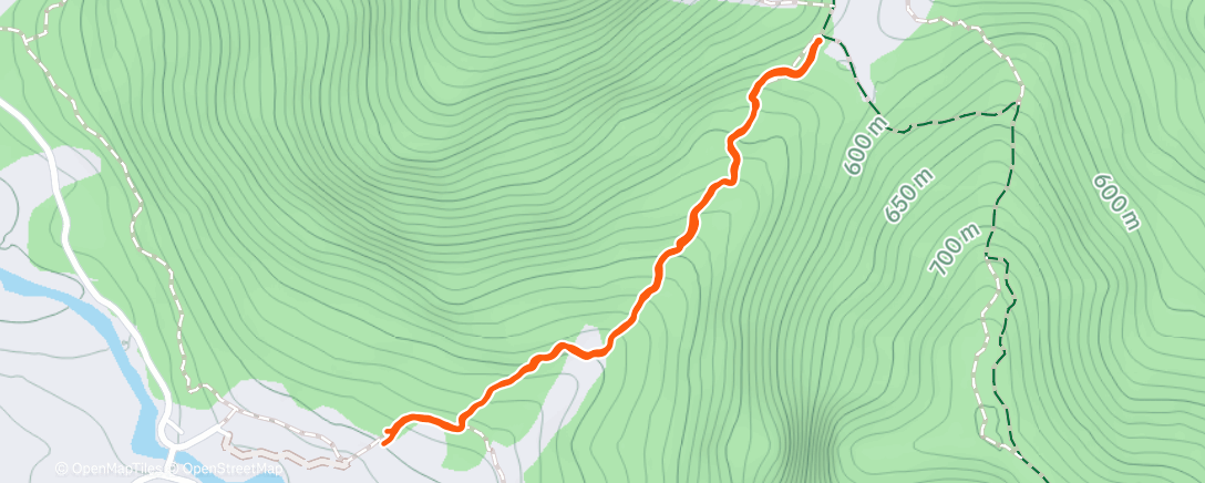 Map of the activity, Morning Trail Run