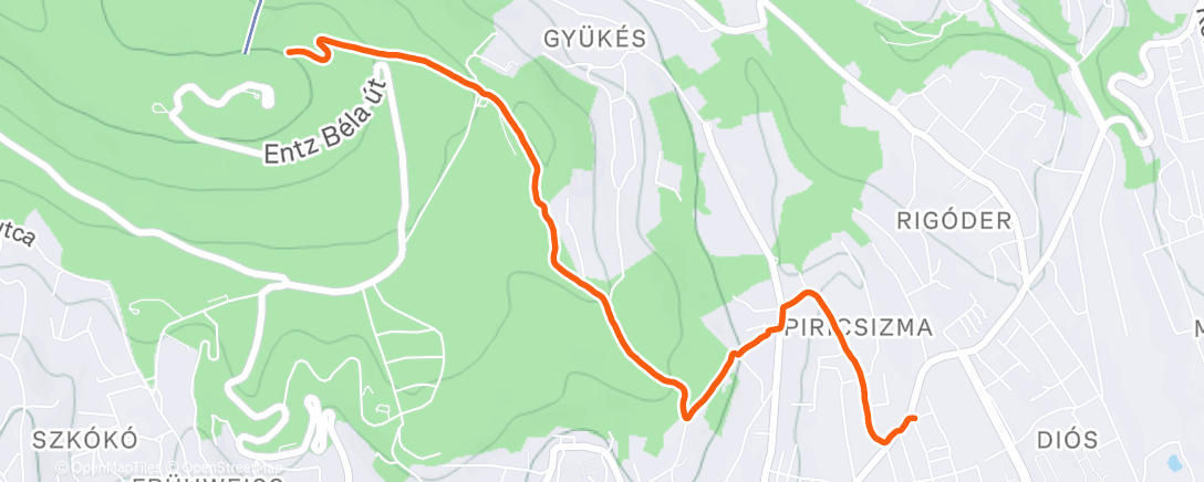 Карта физической активности (Afternoon Walk)