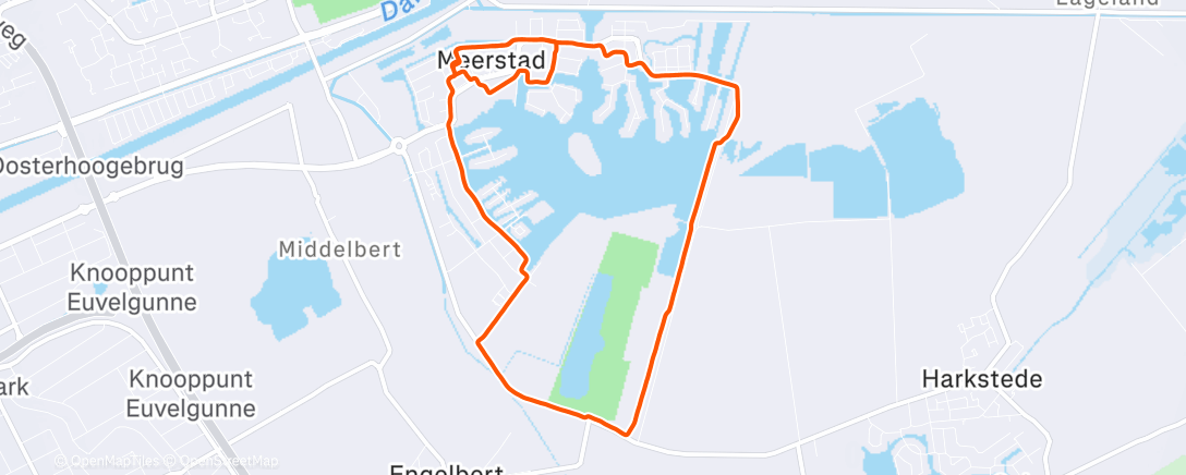 Карта физической активности (Evening Run)