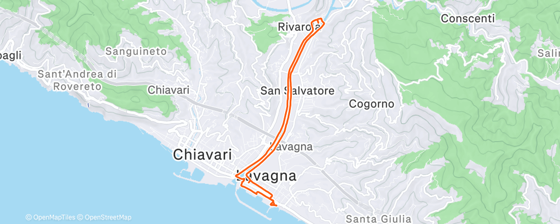 Map of the activity, Morning Run