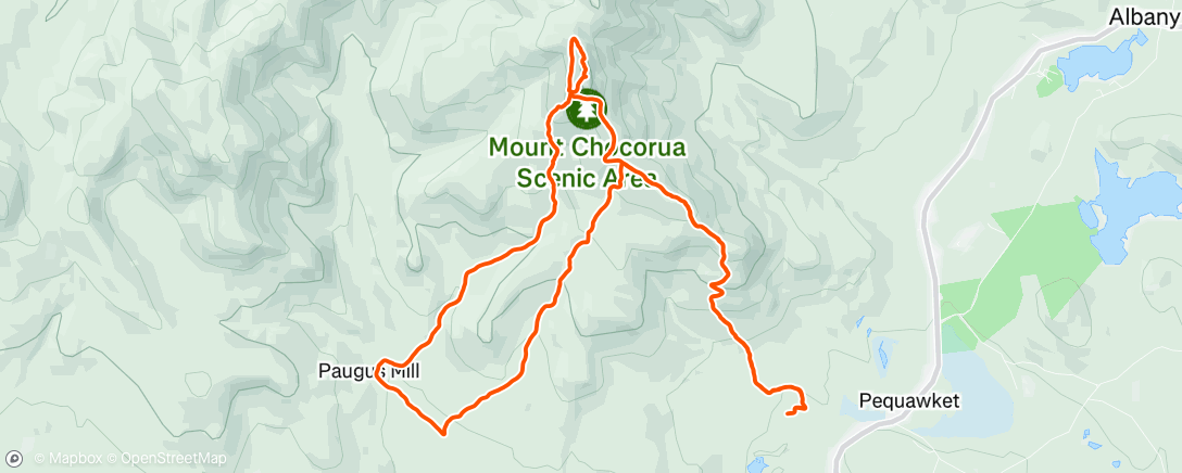 Map of the activity, Morning Trail Run