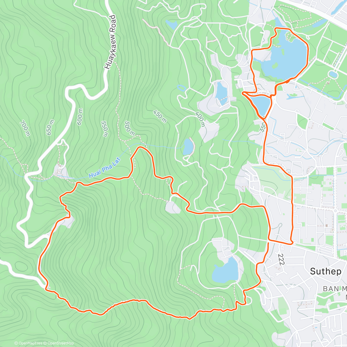 Map of the activity, Merry Xmas from the jungle peeps 🫶🏻