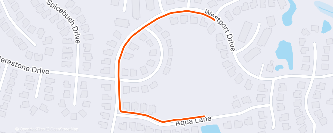 Map of the activity, Morning Walk