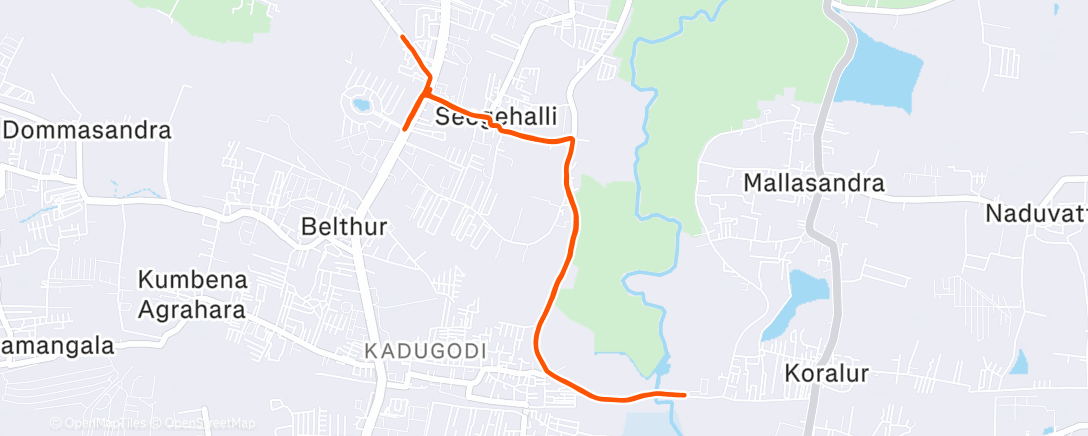 Map of the activity, Morning Run