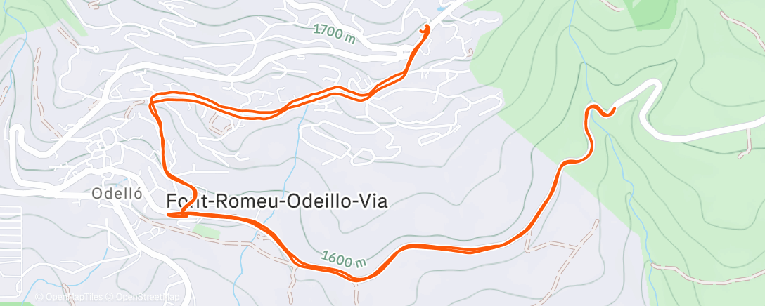 Карта физической активности (EF)