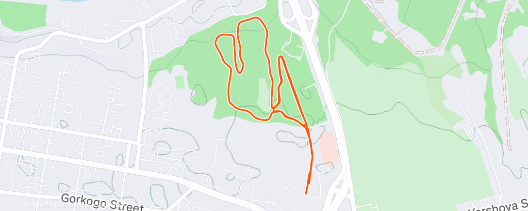 Map of the activity, Evening Run