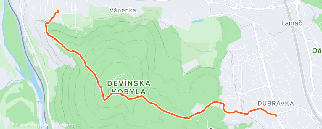 Карта физической активности (Morning Walk)