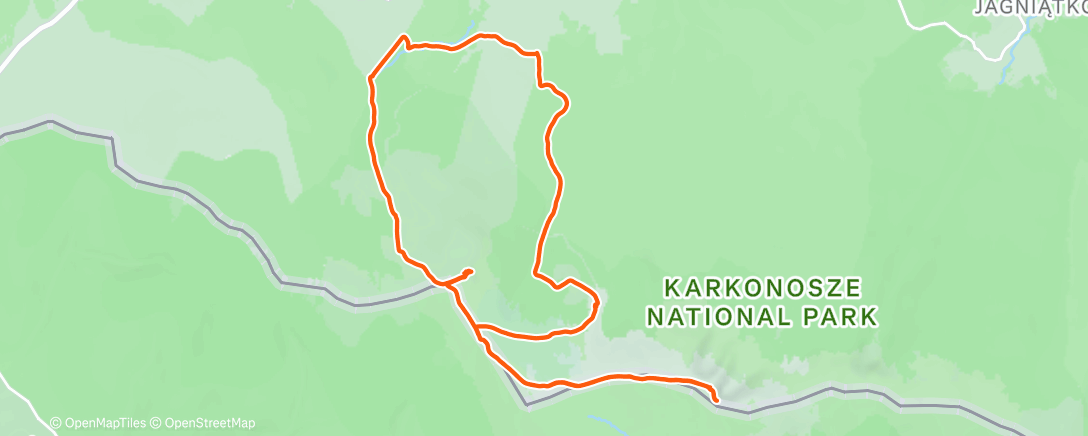 Карта физической активности (Morning Hike)