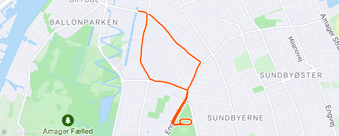 Map of the activity, Morning Run