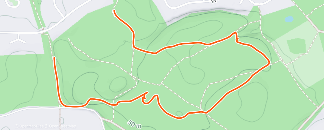 Карта физической активности (Afternoon Walk)