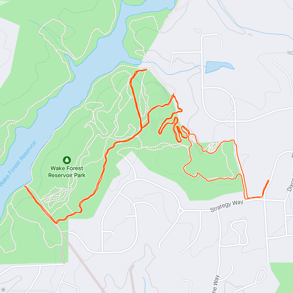 Map of the activity, Snake