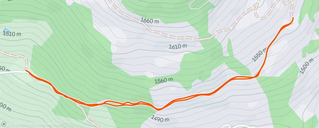 Карта физической активности (Lunch Run)