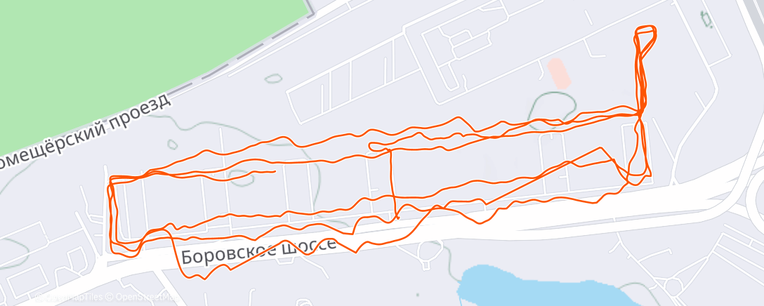 Карта физической активности (Утренний забег)