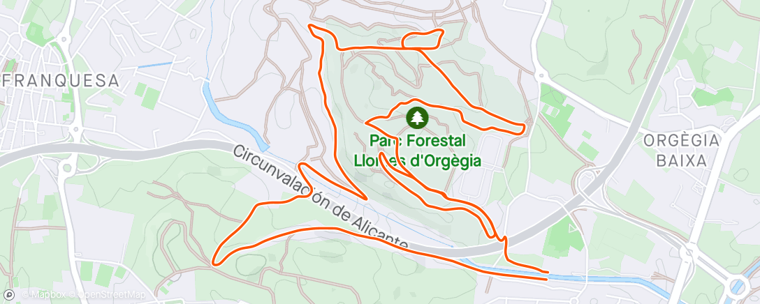 Map of the activity, Orgegia
