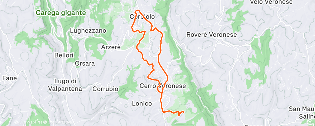 Карта физической активности (Morning Trail Run)