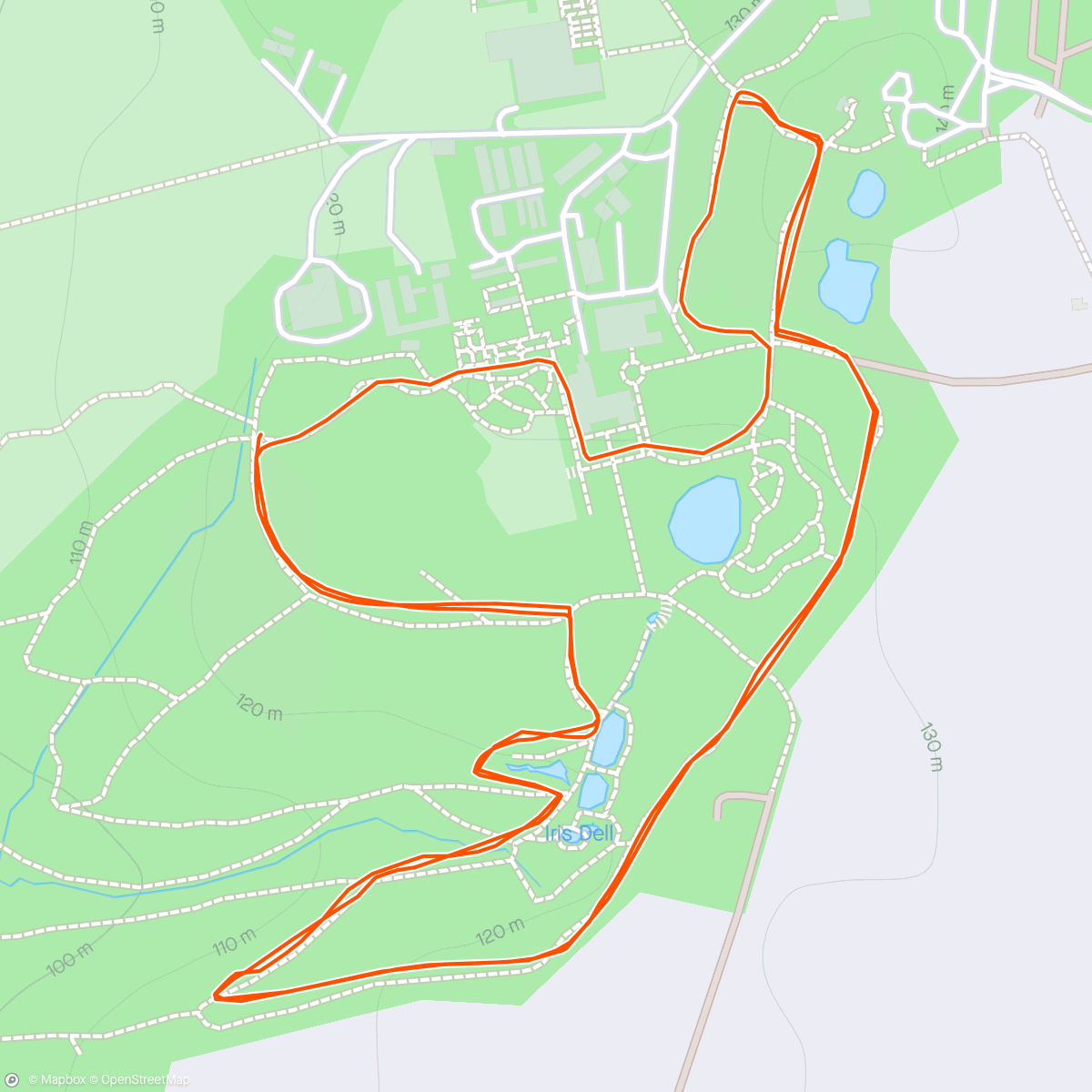 Mapa da atividade, Wakehurst Parkrun #1