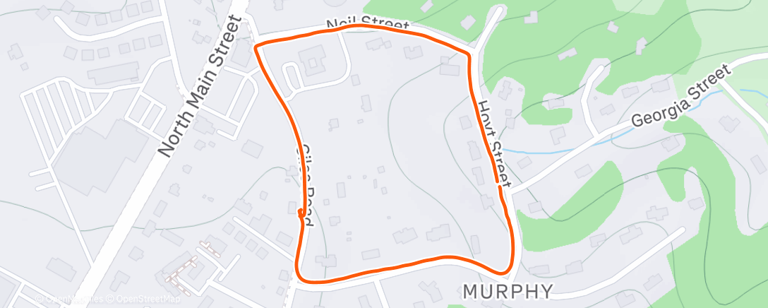 Карта физической активности (Afternoon Walk)