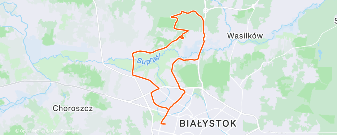 Map of the activity, Trzeba było zobaczyć co się dzieje w lesie