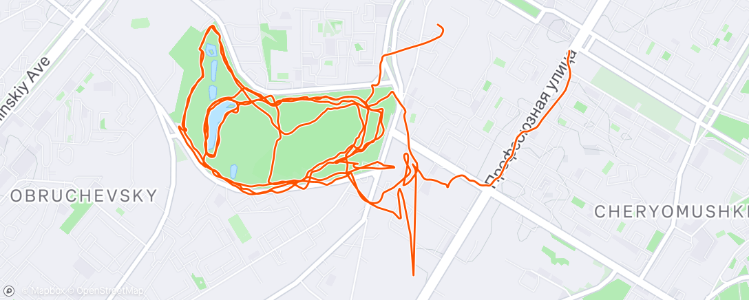 Map of the activity, Вечерний забег