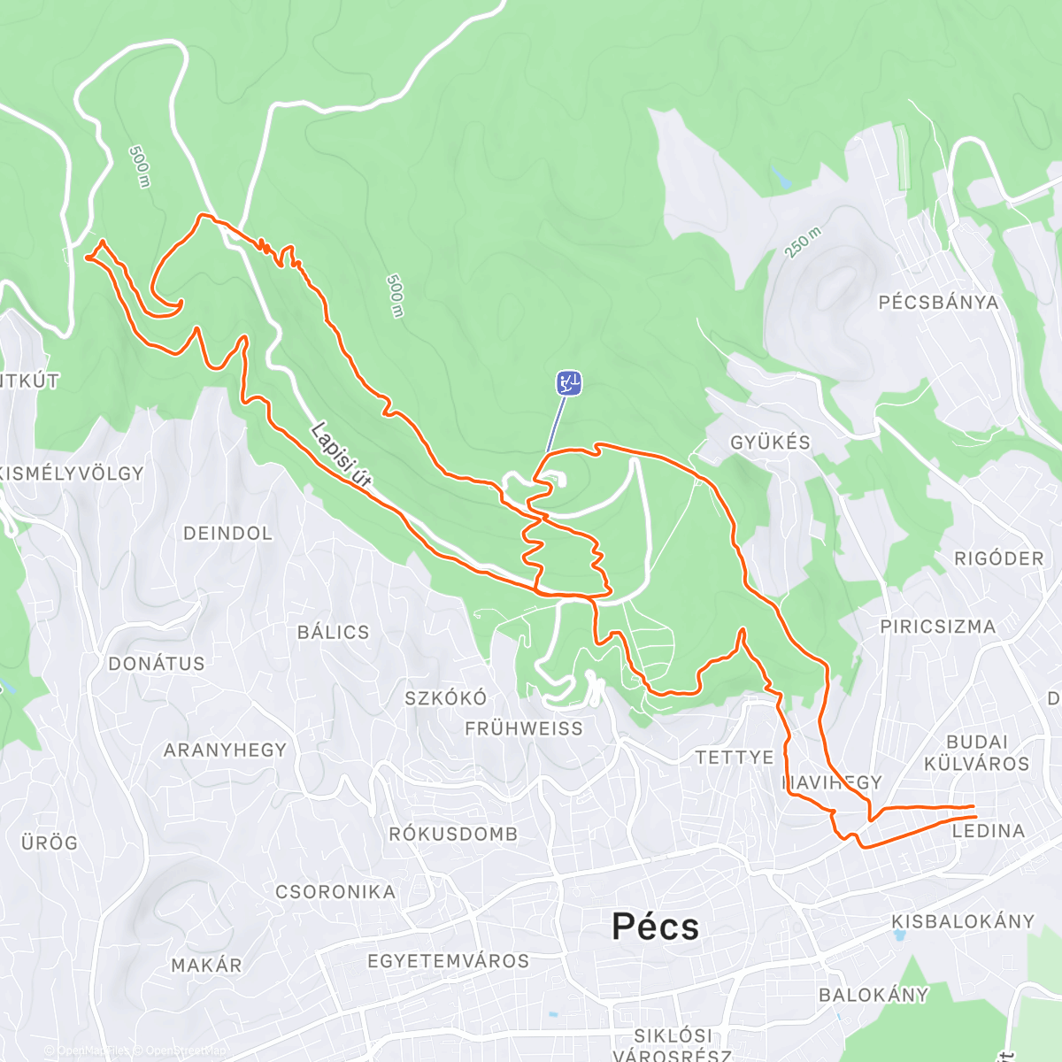 Map of the activity, Morning Trail Run