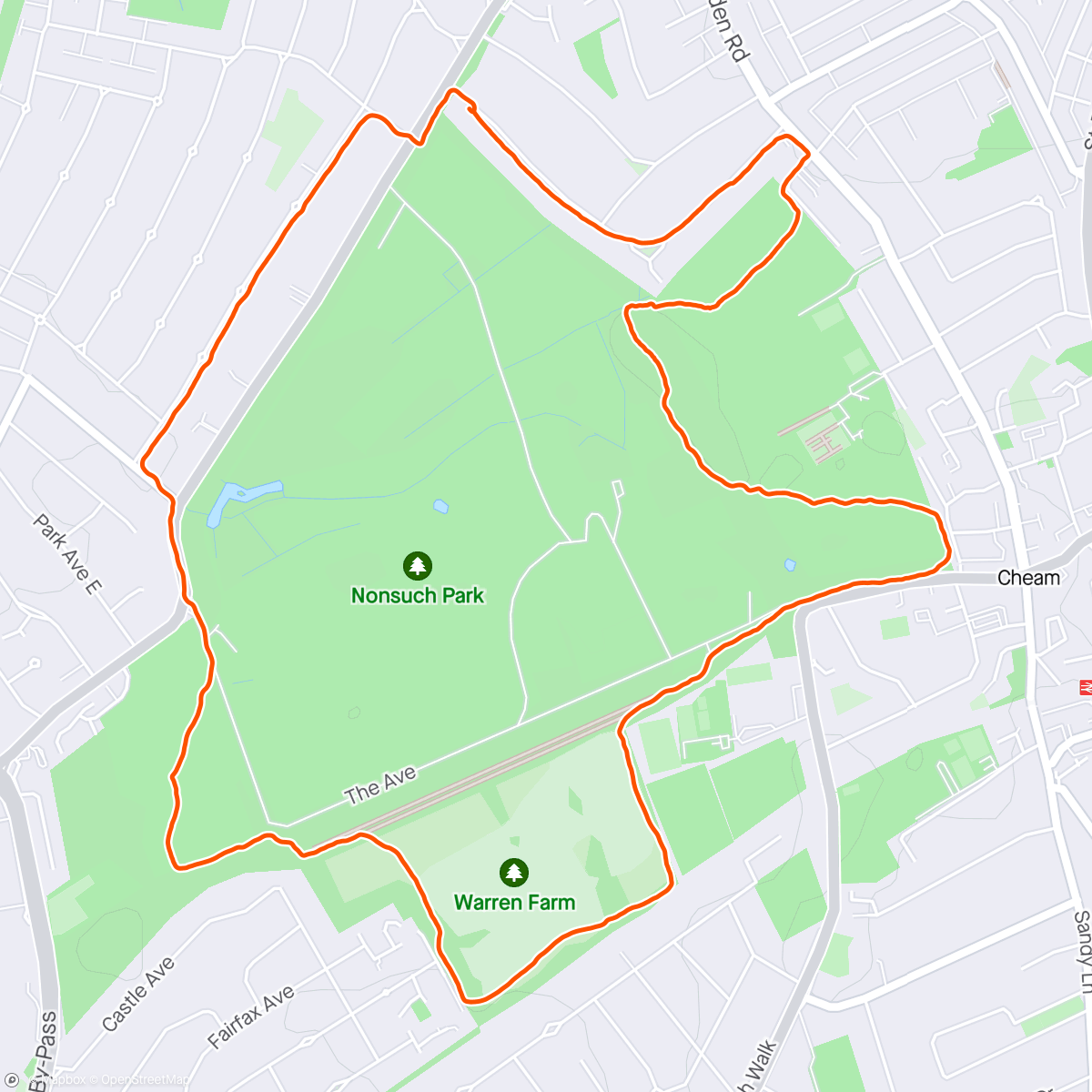 Map of the activity, Nonsuch Park anticlockwise.