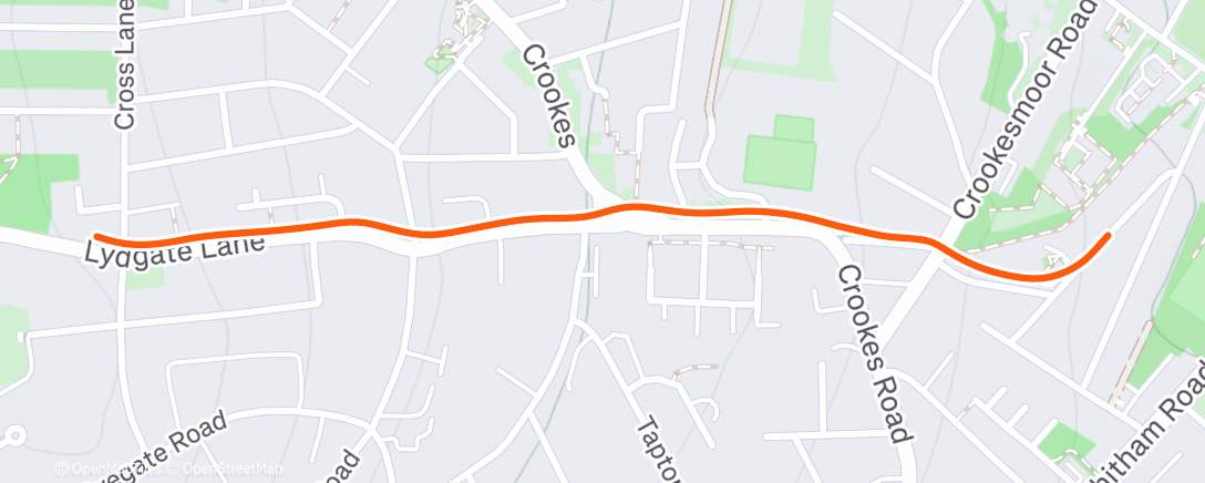 Map of the activity, Evening Run