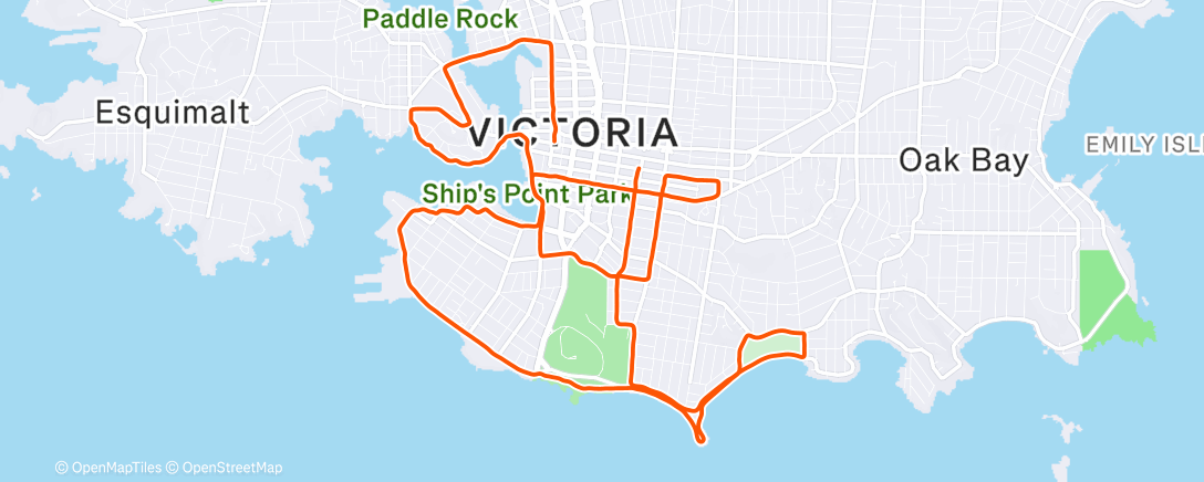 Map of the activity, Sickness comeback